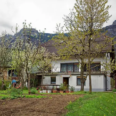 House Bovec