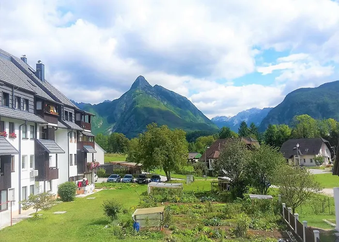 بيت ضيافة House