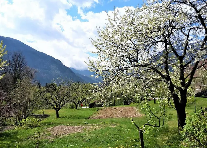 House بيت ضيافة بوويتش