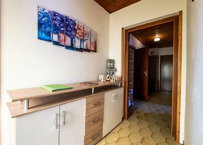 Holiday House 게스트하우스 3*