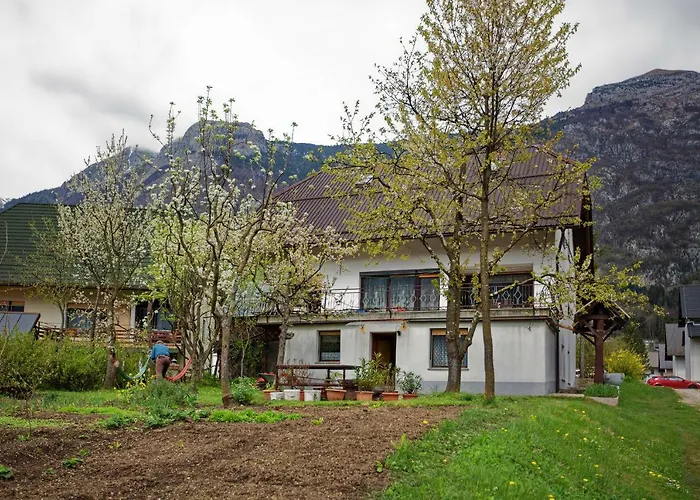 Holiday House 보베츠