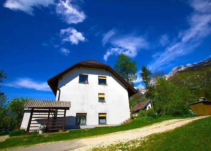 Holiday House 3* 보베츠