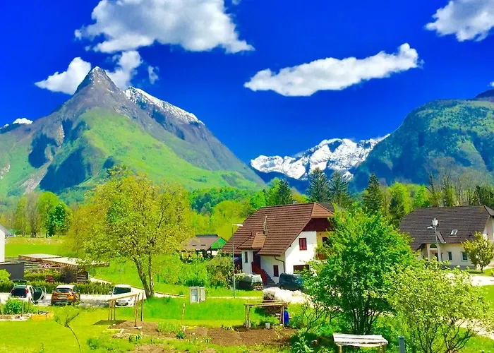 게스트하우스 Holiday House